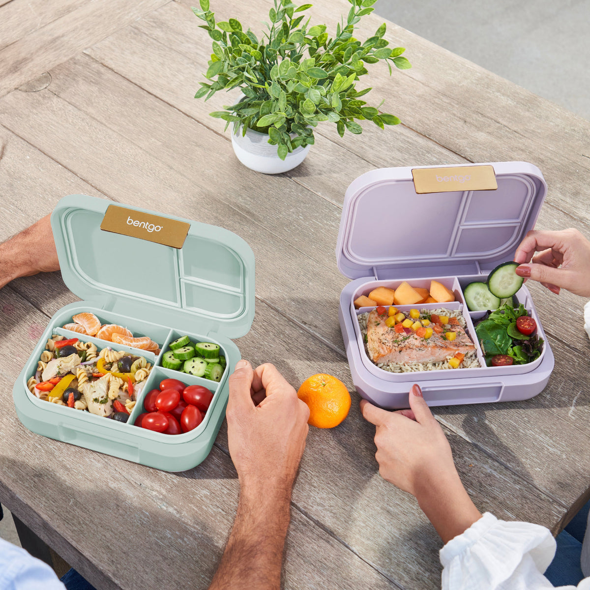 bentgo-modern-lunch-box-2-pack-j7 COSTCOBMCPRODUCTIMAGE_2.jpg